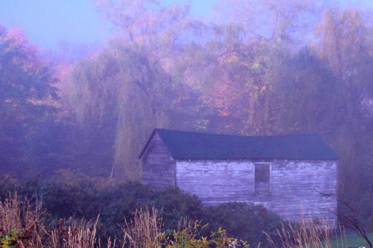 photo of barn in mist