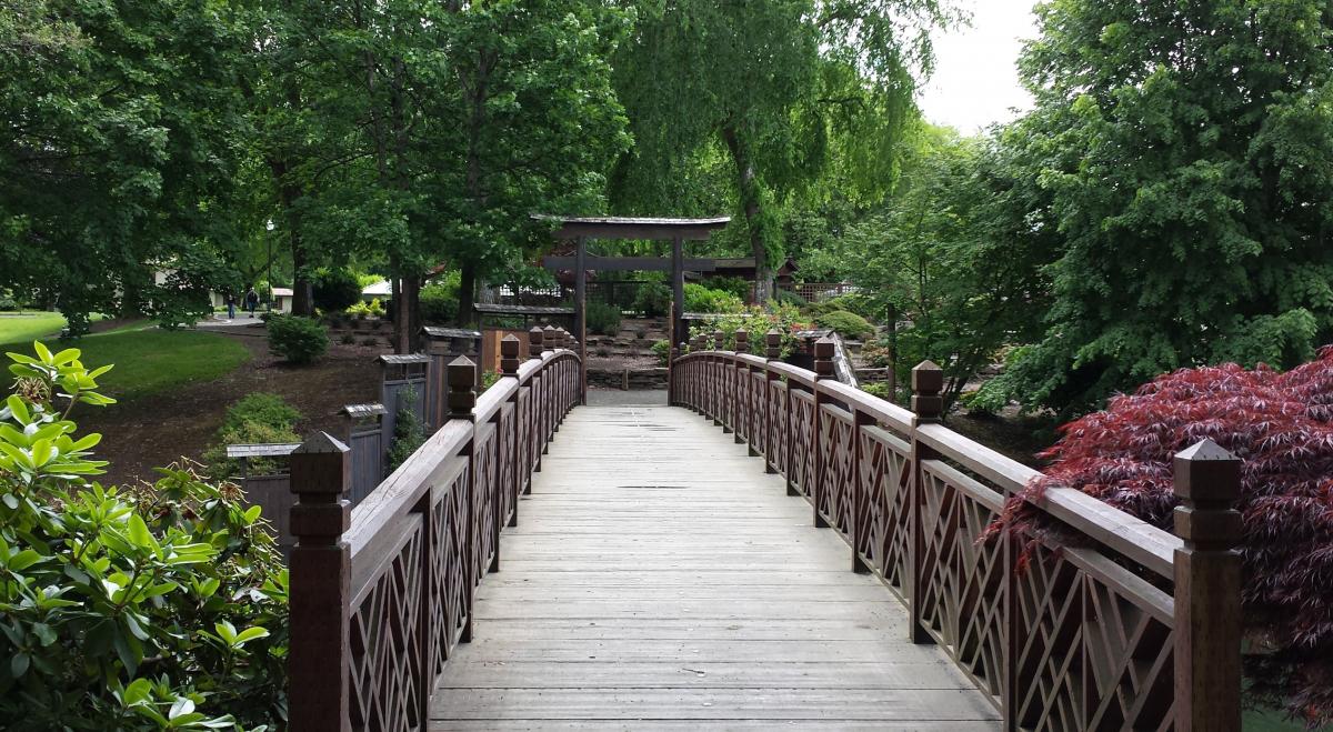 photo of bridge in garden