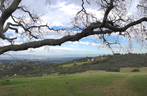 landscape photo