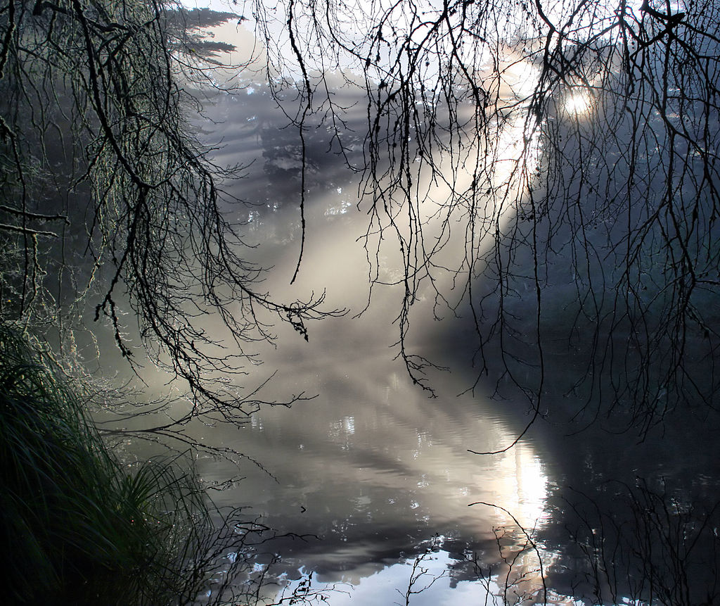 photo of rays on Stow Lake
