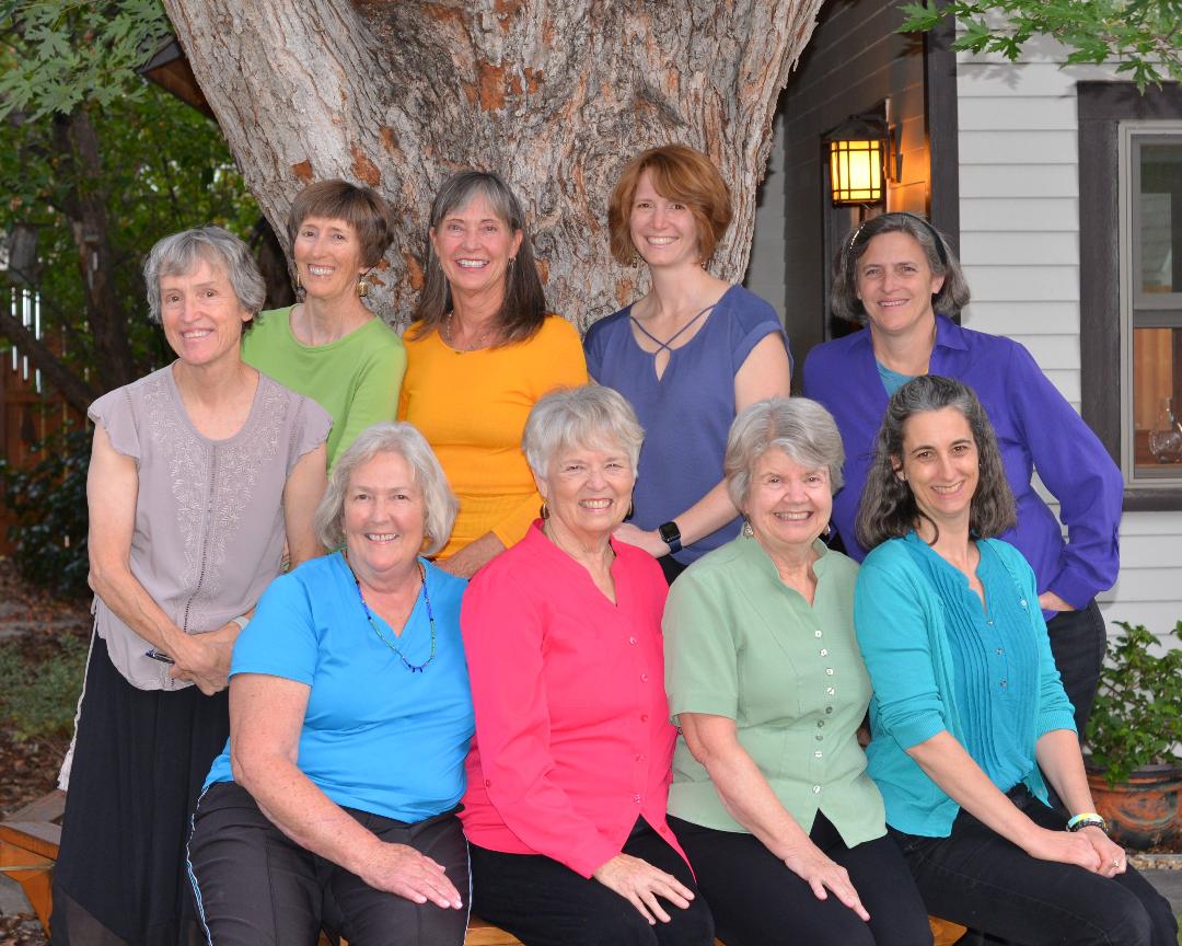 photo of 9 smiling white-appearing women wearing tops of solid bright colors. They are in front of a large tree.