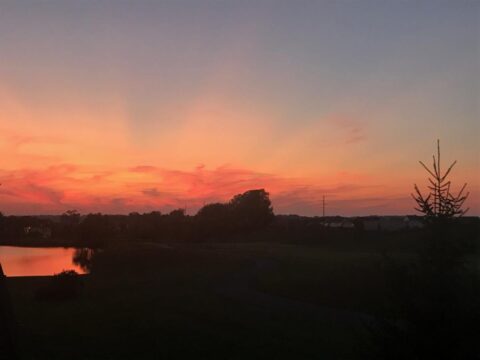 photo of sunset. Reflection on water on the left; silhouette of pine tree on right.