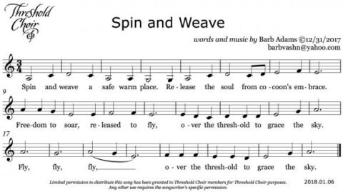 Spin and Weave 20180106