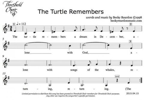 The Turtle Remembers 20150415